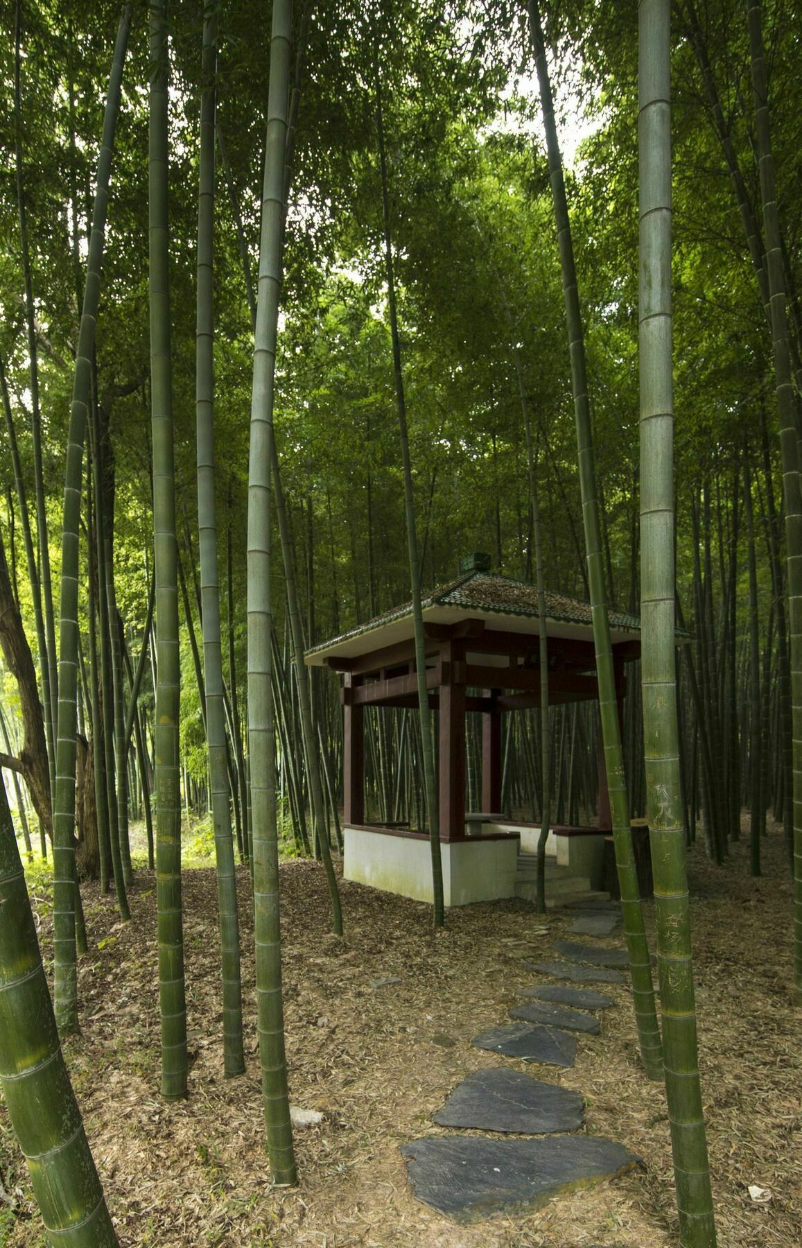 Core Fire Villafound Suzhou  Dış mekan fotoğraf